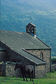 Pferd vor Kirche, Buttermere, Lake District, Cumbria, England, Großbritannien