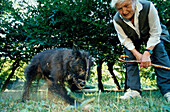 Trueffelsucherin Dolores Amisano mit, Hund Nero in Piemont Italien