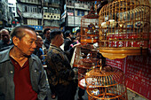 Vogelhaendler, Vogelmarkt Mong Kok Hongkong, China