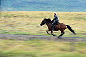 Reiterin Luisa auf Islandpferd, nahe Glaumbaer Norden, Island