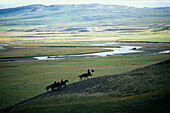 Reiter auf Islandpferden, Midfjord, Norden Island