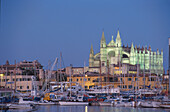 Kathedrale und Yachthafen, Palma, Mallorca Balearen, Spanien