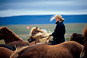 Junge Frau-Island-Pferde, Reiterhof, Brekkulaekur bei Hvammstangi Island