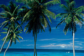 Grand Anse, La Digue Seychellen