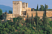 Alhambra, Granada, Andalusien, Spanien, Europa