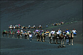 Kamelkarawane mit Touristen, Montanas del Fuego, Timanfaya NP. Lanzarote, Kan. Inseln, Spanien
