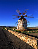 Windmühle, Tefía, Fuerteventura Kanarische Inseln, Spanien