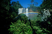Salto Dos Hermanas, Regenbogen, Iguazú Wasserfälle Misiones, Argentinien