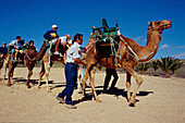 Kamelreiten, La Lajita, Fuerteventura Kanarische Inseln, Spanien