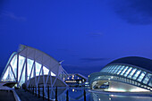Stadt der Künste und Wissenschaften bei Nacht, Valencia, Spanien