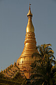 Shwedagon Pagoda, Burma, Myanmar, evening light