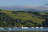 Blick auf Boote im Naturhafen von Akaroa, Banks Halbinsel, Neuseeland, Ozeanien