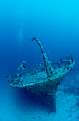 Taucher neben Schiffswrack, Malediven, Indischer Ozean, Ari Atoll