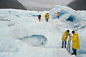 Tourists on Fox Glacier, Westland National Park, South Alps, South Island, New Zealand, Oceania