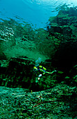 Flusstauchen in der Traun, Scuba diving in a fresh, Scuba diving in a freshwater river, scuba diver, traun