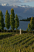 Rippon Vineyards on shores of Lake Wanaka, Otago, South Island, New Zealand, Oceania