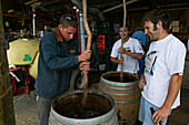 Rippon Vineyard, people stirring fertilizer in barrels, Otago, South Island, New Zealand, Oceania