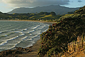 Blick auf Strand in einer Bucht und Mount Moehau in der Abendsonne, Coromandel Halbinsel, Nordinsel, Neuseeland, Ozeanien