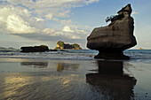 Rock formation on the beach at sunset, Cathedral Cove, Coromandel Peninsula, North Island, New Zealand, Oceania