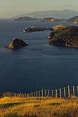 Coromandel Harbour, view of coast area, Coromandel Peninsula, North Island, New Zealand, Oceania