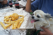 Fish and chips, Coromandel, woman and dog eating fish and chips outside, Coromandel Peninsula, North Island, New Zealand, Coromandel Halbinsel