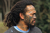 Portrait of a Maori man with moko face tattoo, North Island, New Zealand, Oceania
