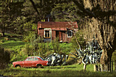 Typical holiday weekend shack in the country, East Cape, North Island, New Zealand, Oceania