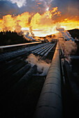Wairakei Geothermal Power Station, Pipelines and steam at sunset, near Taupo, North Island, New Zealand