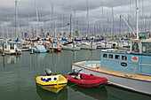 Westhaven Marina, Auckland, North Island, New Zealand