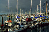 Auckland's yachting harbour, Jachthafen, Auckland, North Island