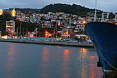 Suburban houses, Wellington, Houses on hill above Oriental Bay, inner city suburb, capital, Hauptstadt