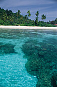 Korallenbank im kristallklarem Wasser, Marine Park Pulau Redang Ostküste Terenganu, Malaysia