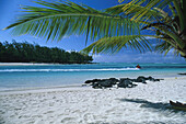 Blick von Palmenstrand auf Jetski, Ile aux Cerf, Mauritius, Indischer Ozean, Afrika