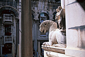 Lion detail, Cathedral Sv. Dujan, Split, Dalmatia Croatia