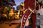 Kandy Perahera, Procession, Dalada Maligawa Temple Sri Lanka