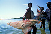 Fishermen on the Beach of Arugam Bay, Pottuvil Sri Lanka