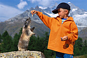 Marmot Observation Point, Valais, Switzerland
