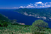 Gerneral View with Malcensine, Lago di Garda Italy