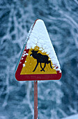 Traffic sign, Elkcrossing, Schweden
