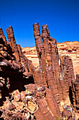 Forest of Pillars, volcanism in the desert of Sinai, Egypt, North Africa