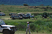 Safari Jeeps, Ngoitokitok Picnic Site, Ngorongoro Crater, Safari, Serengeti NP Tansania