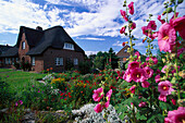 Thatched Roof House, Norddorf, Amrum, North Sea, Schleswig-Holstein, Germany