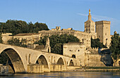 Blick auf die Brücke Pont St. Bénézet und die Kathedrale Notre-Dame-des-Doms, Avingnon, Provence, Frankreich