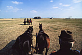 Horse carriages driving through steppe, Hortobagyi Puszta, Hungary