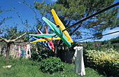 clothes pegs on washing line, plastic pegs