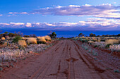 Road in dry plain, Tibooburra, New South Wales Australia