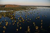 Aerial of wetlands Kakadu NP, Australien, Northern Territory, Luftaufnahme, Aerial Kakadu National Park and Arnhemland