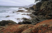 Red granite coast, Freycinet Peninsula, Tasmania, Freycinet Peninsula, NP, red granite rocks and waves east coast