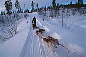 Husky Hundeschlitten mit Fahrer in Schweden, Skandinavien