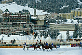 Polo, Winter, St. Moritz, Engadin Graubünden, Switzerland